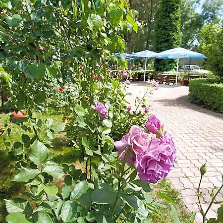 Hotel Regina Sluneční pobřeží